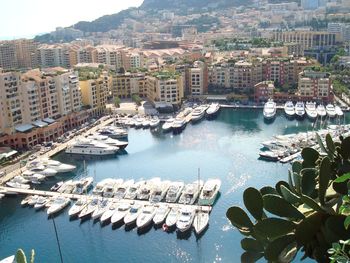 High angle view of harbor and buildings in city