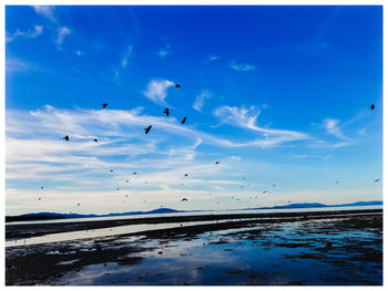 Birds flying over snowcapped mountains against blue sky