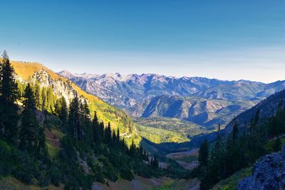 Timpanogos hiking trail landscape views in uinta wasatch cache national forest utah