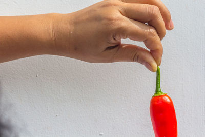Close-up of hand holding red chili pepper