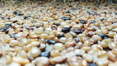 Surface level of pebbles