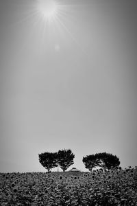 Scenic view of landscape against clear sky