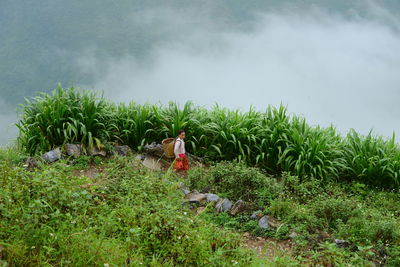 Man working on field