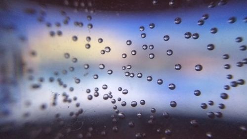 Close-up of water drops on window