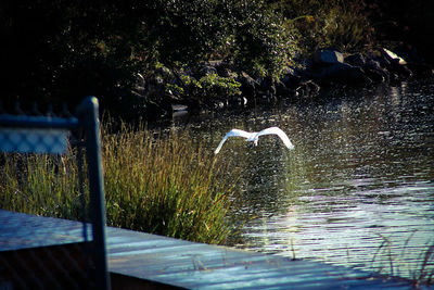 Water splashing on riverbank