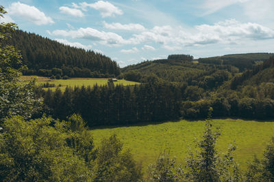 Scenic view of forest against sky