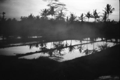 Reflection of trees in lake against sky