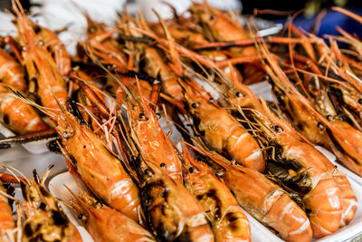 Close-up of fish for sale in market