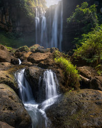 Scenic view of waterfall in forest