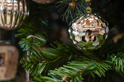 Christmas background - silver ball on the branch of spruce tree