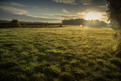 Scenic view of field against sky during sunset