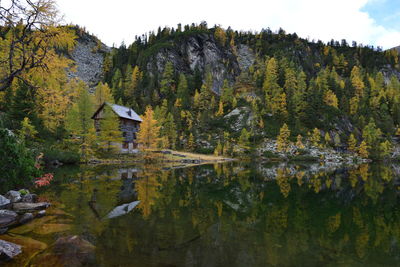 Scenic view of lake by trees against sky