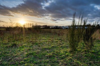 Scenic view of field against sky during sunset