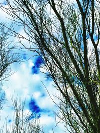 Low angle view of bare trees against cloudy sky