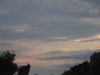Low angle view of silhouette trees against sky at sunset