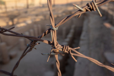 Rusty barbed wire to protect an excavation site in the desert of sudan