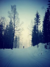 snow