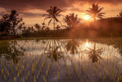 Scenic view of lake against sky during sunset