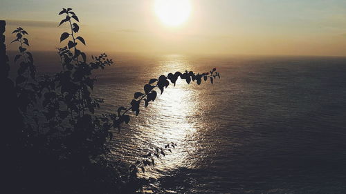 Scenic view of sea at sunset