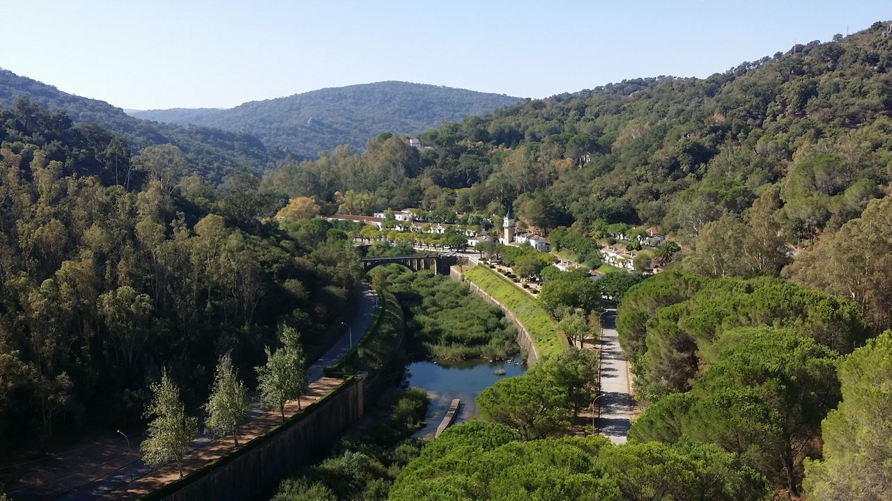 tree, high angle view, growth, mountain, nature, mountain range, beauty in nature, green color, no people, architecture, built structure, water, outdoors, grass, scenics, sky, day, lush - description