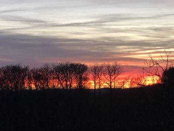 Silhouette bare trees against sky during sunset