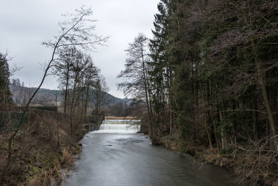 River flowing amidst trees in forest against sky