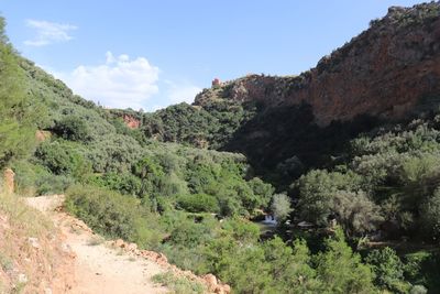 Scenic view of trees and mountains against sky