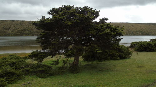 Scenic view of landscape against cloudy sky