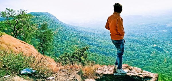 Rear view of man looking at mountain