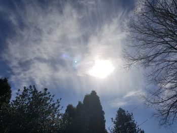 Low angle view of silhouette trees against sky