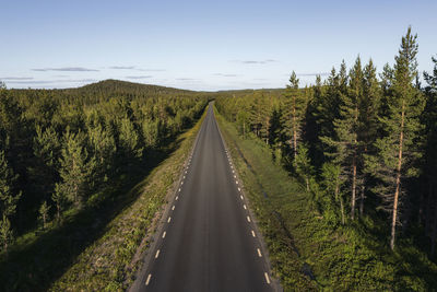 Country road going through forest