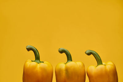 Close-up of bell peppers against yellow background