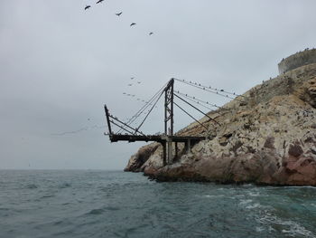 Birds flying over sea against sky