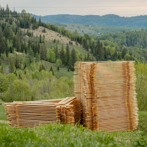 Stack of stones on field against trees in forest