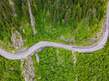 High angle view of winding road amidst trees in forest