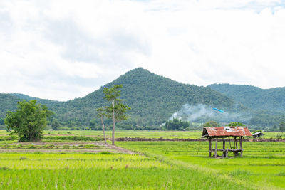 Scenic view of agricultural field against sky