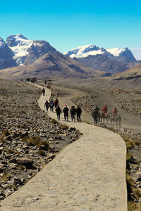 Group of people riding horse on snowcapped mountain