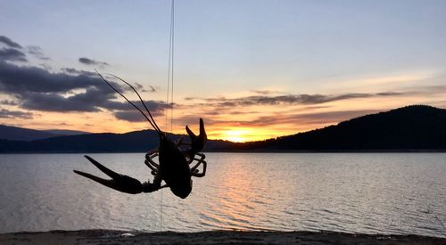 Crayfish hanging from string with sea in background during sunset