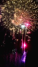 Low angle view of firework display at night