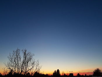 Low angle view of silhouette trees against sky
