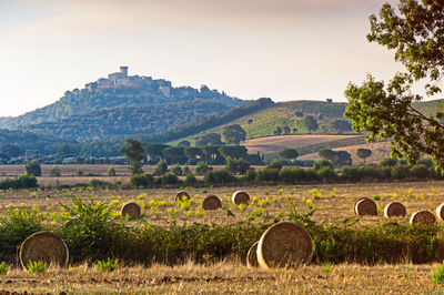 Hay bales on field against sky