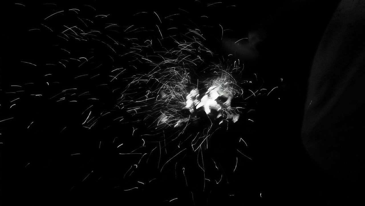 night, animal themes, close-up, one animal, exploding, glowing, outdoors, no people, dark, firework display, motion, celebration, sparks, nature, low angle view, firework - man made object, illuminated, black background, focus on foreground, selective focus