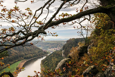 Scenic view of river amidst trees against sky during autumn