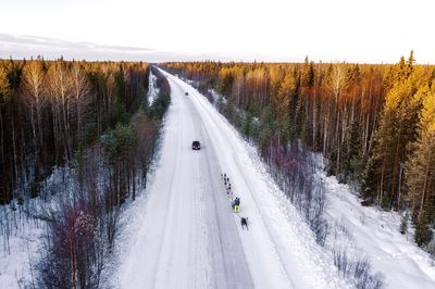 Road amidst trees in forest against sky during winter