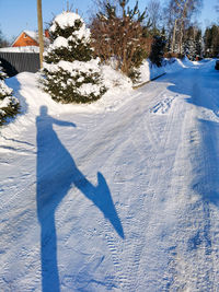 Shadow of person on snow covered field