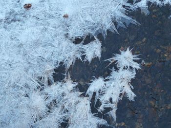 High angle view of frozen ice