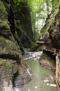 Stream flowing through rocks in forest