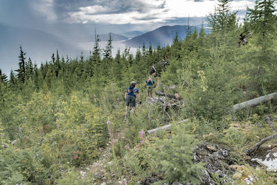 People cycling in forest against sky