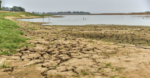 Scenic view of field by lake against sky