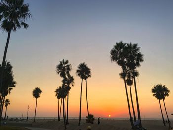 Silhouette of palm trees on beach during sunset